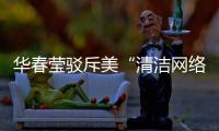 华春莹驳斥美“清洁网络”计划
：要有怎样的“迷之自信”将“外交谎言”进行到底
？