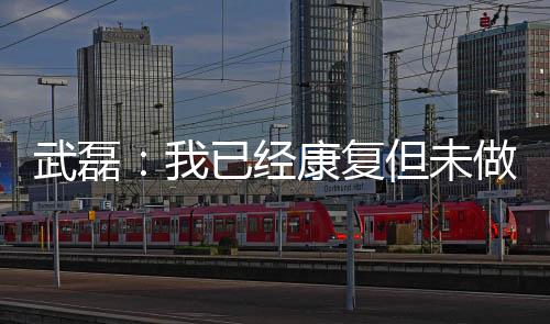 应该可以说已经恢复了