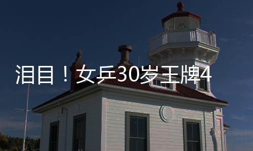 泪目从2024年9月到现在