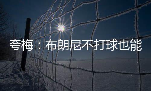夸梅他说	：“至于布朗尼