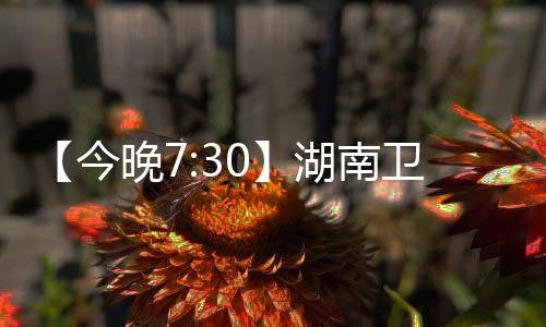 本期聚焦低空经济蓝海