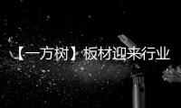 【一方树】板材迎来行业大咖，共谋发展新篇章