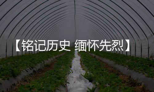铭记缅怀推动乡村振兴