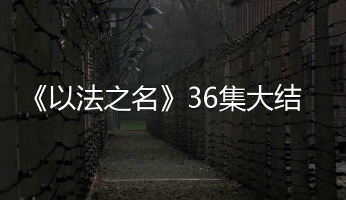 亮被你们十一部办案
