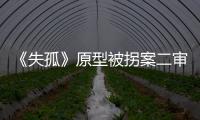 《失孤》原型被拐案二审开庭：受害人提供新线索，被告人相互推诿