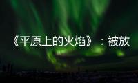 《平原上的火焰》	：被放大的愤怒
，被忽略的叙述