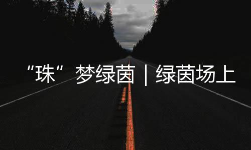 上向沙实训练接近尾声