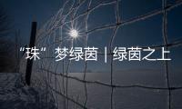 “珠”梦绿茵｜绿茵之上：金湾区如何打造足球发展生态链	？
