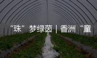 “珠”梦绿茵｜香洲“童超”，有模有样！首届幼儿足球趣味赛落幕