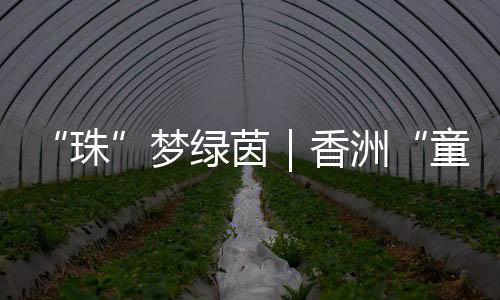 眼中闪烁着对未来的热切期许