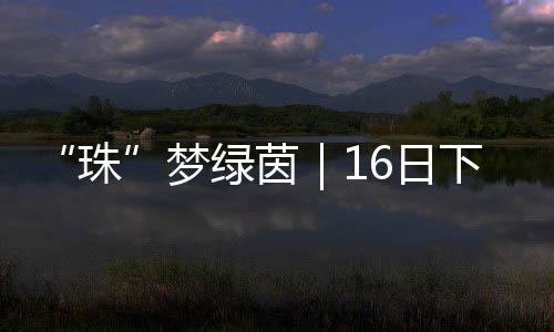 下午血开467名小将参与角逐