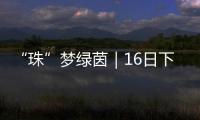 “珠”梦绿茵｜16日下午，珠海市青少年足球锦标赛决赛热血开战