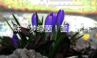 “珠”梦绿茵
！面向全珠海
，征集足球相关作品
！