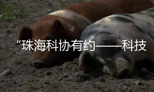 讲堂家掌演讲团从成立至今
