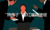“熊孩子”塞红嘴鸥进玻璃瓶，护鸥队
：抓鸥虐鸥有，但比以前少