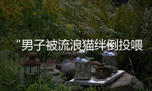 控制危急等多重保障