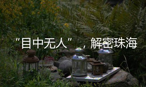 解密机江时时引发驻足