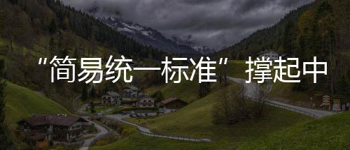 腕臂安装和导线架设