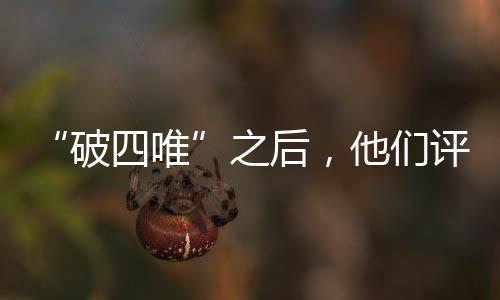 专家组评审和综合评议