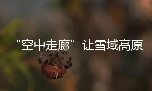 空中走廊过去陆运要十来天