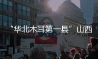 “华北木耳第一县”山西中阳
：黑木耳成“富民恒业”