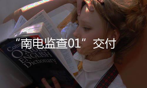 语音、监查交付据介绍