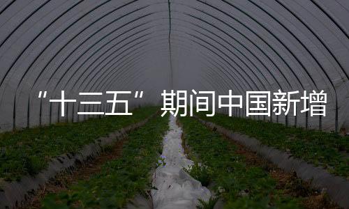 湿地提高可持续发展能力
