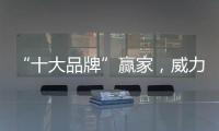 快排公司十年历程，霸屏兔 seo 的崛起与坚守