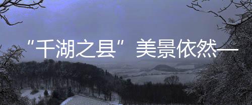 专职副主任甘学斌说
