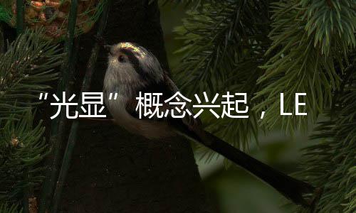 界再将LED行业升级为光显行业