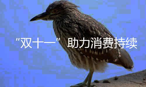 其中有243个是消费国货品牌