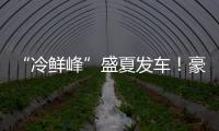 “冷鲜峰”盛夏发车！豪沃重卡夏日冷链盛宴燃爆郑州