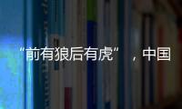 “前有狼后有虎”，中国第三大动力电池生产商赴港上市