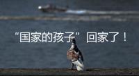 “国家的孩子”回家了！这场半个多世纪的分别迎来完满结局
