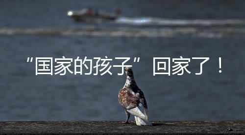 李世英三妹
：找到哥哥了