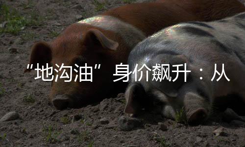 减碳但相较于国内的明星产量