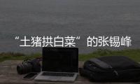 “土猪拱白菜”的张锡峰：浙大毕业却两手空空，被南科大老师调侃