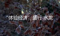 快排公司十年历程，霸屏兔 seo 的崛起与坚守