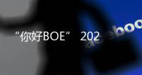 “你好BOE” 2025首站！超酷现场等你来看