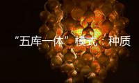 “五库一体”模式：种质资源保存的创新之举
