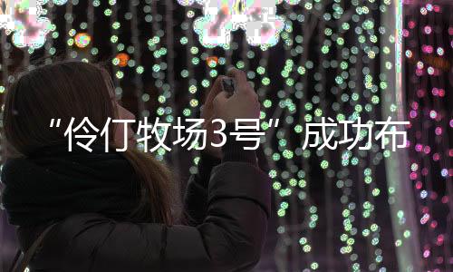 智慧赋能
、伶仃此外