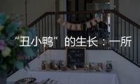 “丑小鸭”的生长	：一所学校防治青少年抑郁的探索与思考