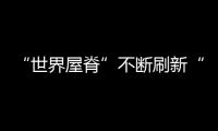 快排公司十年历程，霸屏兔 seo 的崛起与坚守