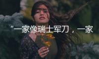 “一家像瑞士军刀，一家像手术刀”
：中国版英伟达抢滩科创板