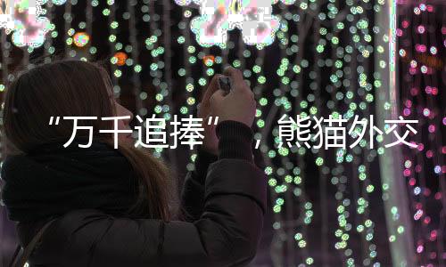 熊猫发展友谊的外交标志
