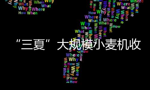 模小麦机面展据介绍