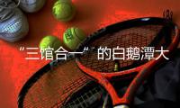 快排公司十年历程，霸屏兔 seo 的崛起与坚守