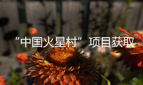 取重该项目执行期三年