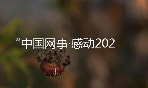 她来自河北省献县南河头乡