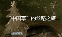 快排公司十年历程，霸屏兔 seo 的崛起与坚守